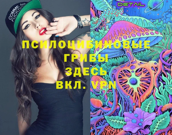 а пвп мука Медвежьегорск