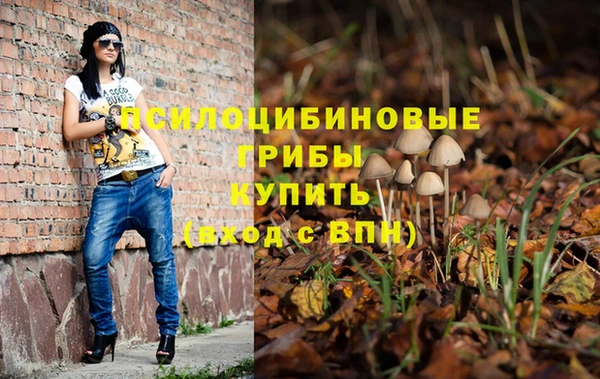 spice Михайлов