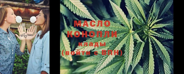 spice Михайлов