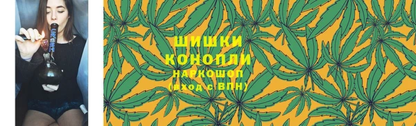 мет Мегион