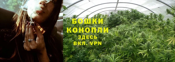spice Михайлов