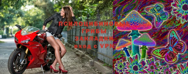 spice Михайлов