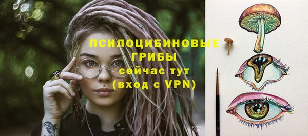 spice Михайловск