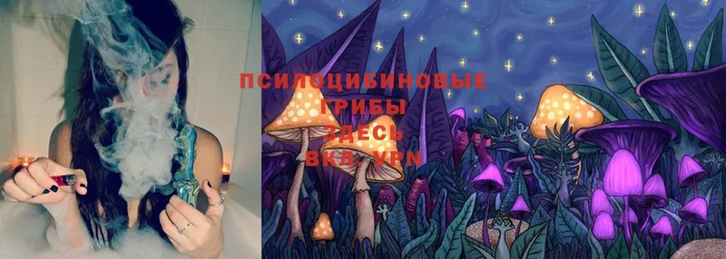 Галлюциногенные грибы Magic Shrooms  Волгоград 