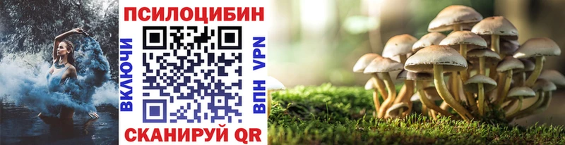Псилоцибиновые грибы Psilocybine cubensis  Волгоград 
